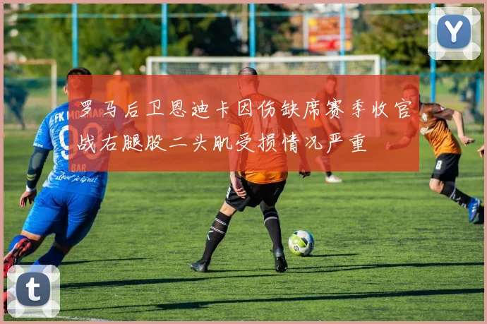 罗马后卫恩迪卡因伤缺席赛季收官战右腿股二头肌受损情况严重