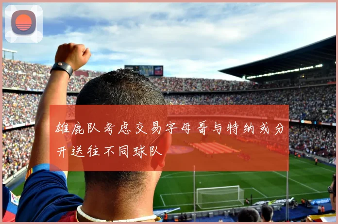 雄鹿队考虑交易字母哥与特纳或分开送往不同球队